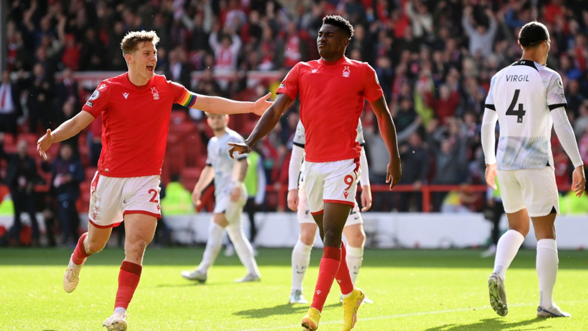 本文化的一 本文化的一