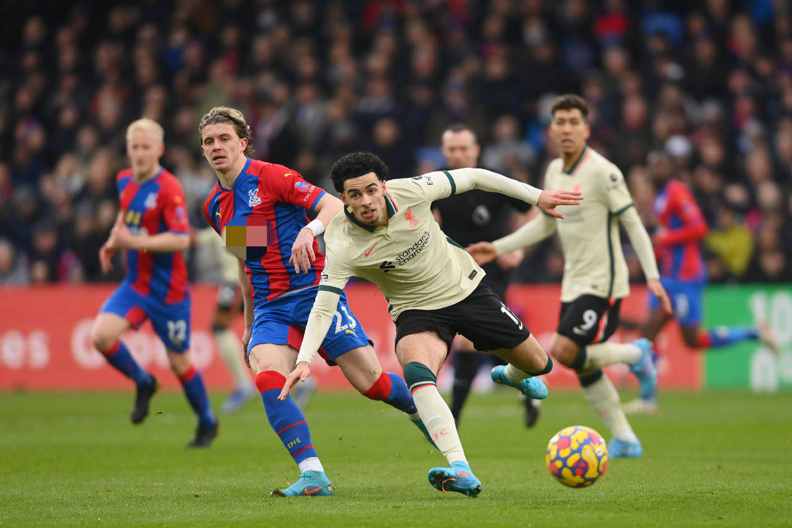 日前对阵劲 日前对阵劲