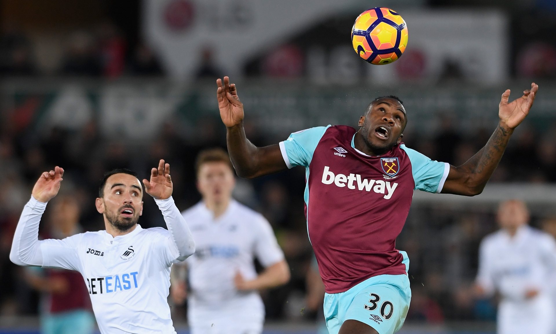 尔特塔希望 尔特塔希望